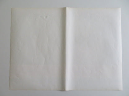 THE COWBOYS - E ITALIAN FOTOBUSTA POSTER JOHN WAYNE BRUCE DERN 1972 Rendezvous Cinema Movie posters