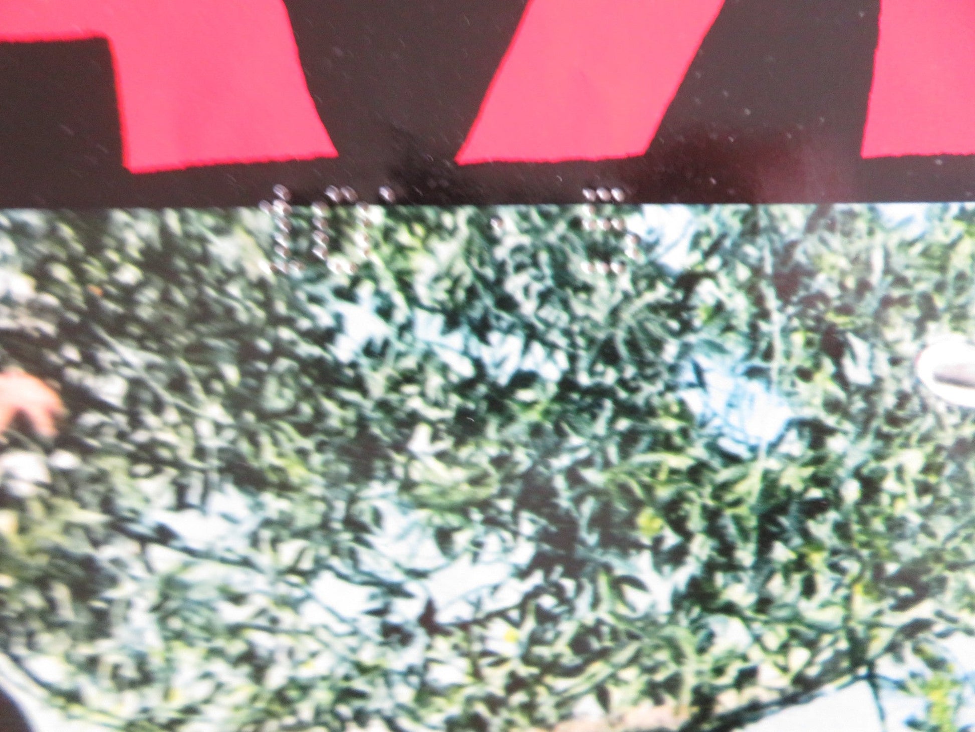 THE COWBOYS - F ITALIAN FOTOBUSTA POSTER JOHN WAYNE BRUCE DERN 1972 Rendezvous Cinema Movie posters