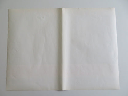 THE COWBOYS - H ITALIAN FOTOBUSTA POSTER JOHN WAYNE BRUCE DERN 1972 Rendezvous Cinema Movie posters