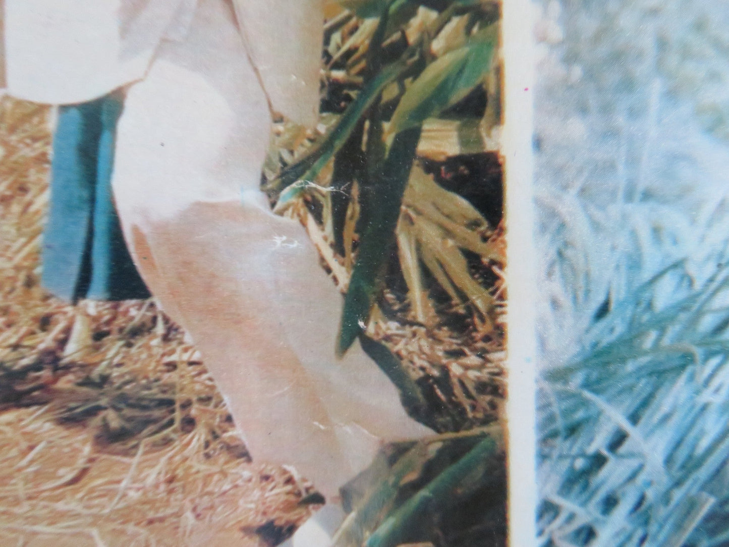 THE CRIPPLED MASTERS - B ITALIAN FOTOBUSTA POSTER FRANK SHUM BRUCE LEEI 1980 Rendezvous Cinema Movie posters