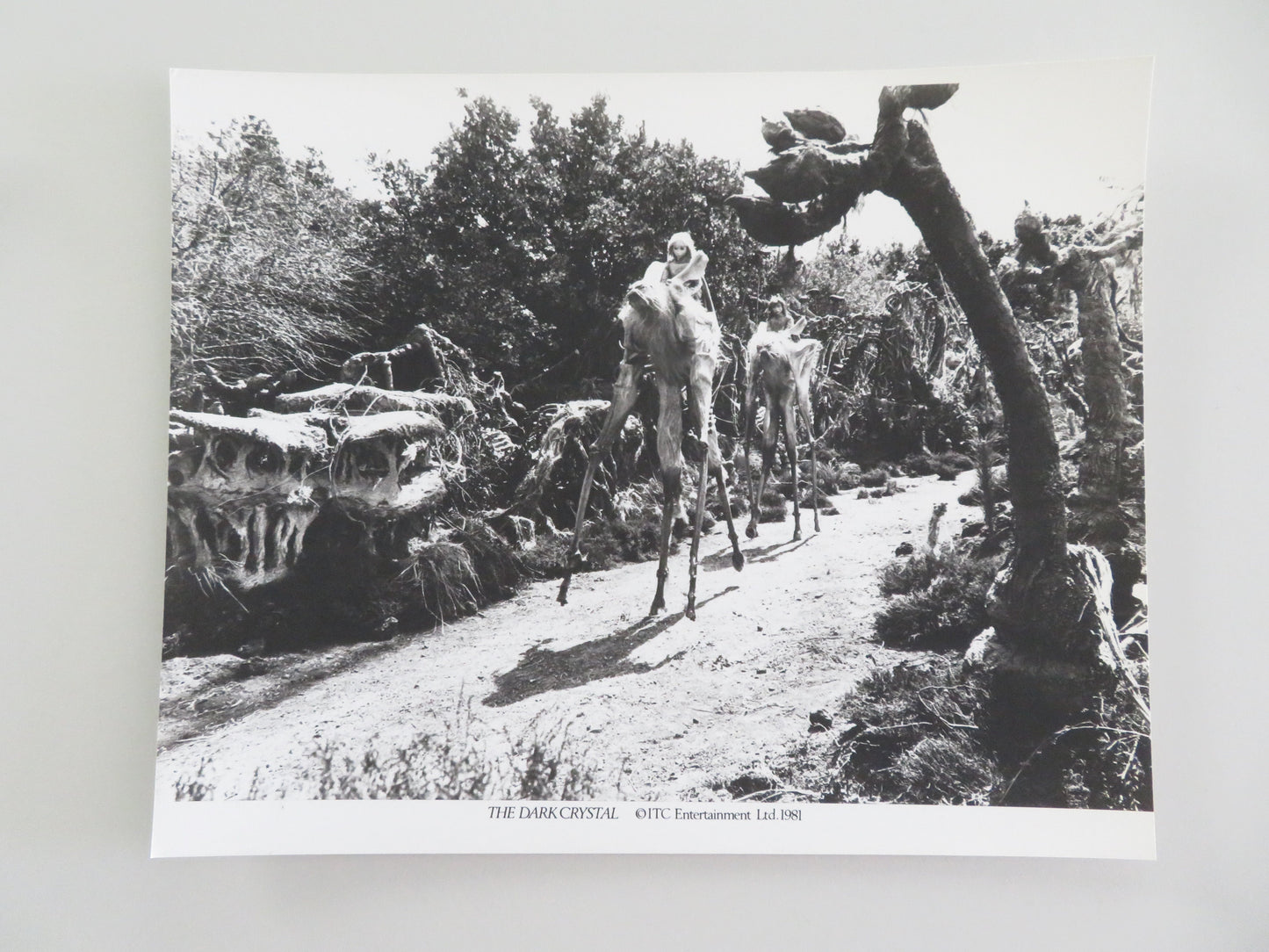 The Dark Crystal - B Movie Still Photo Lot Of 6 Jim Henson Frank Oz 1982 Movie posters