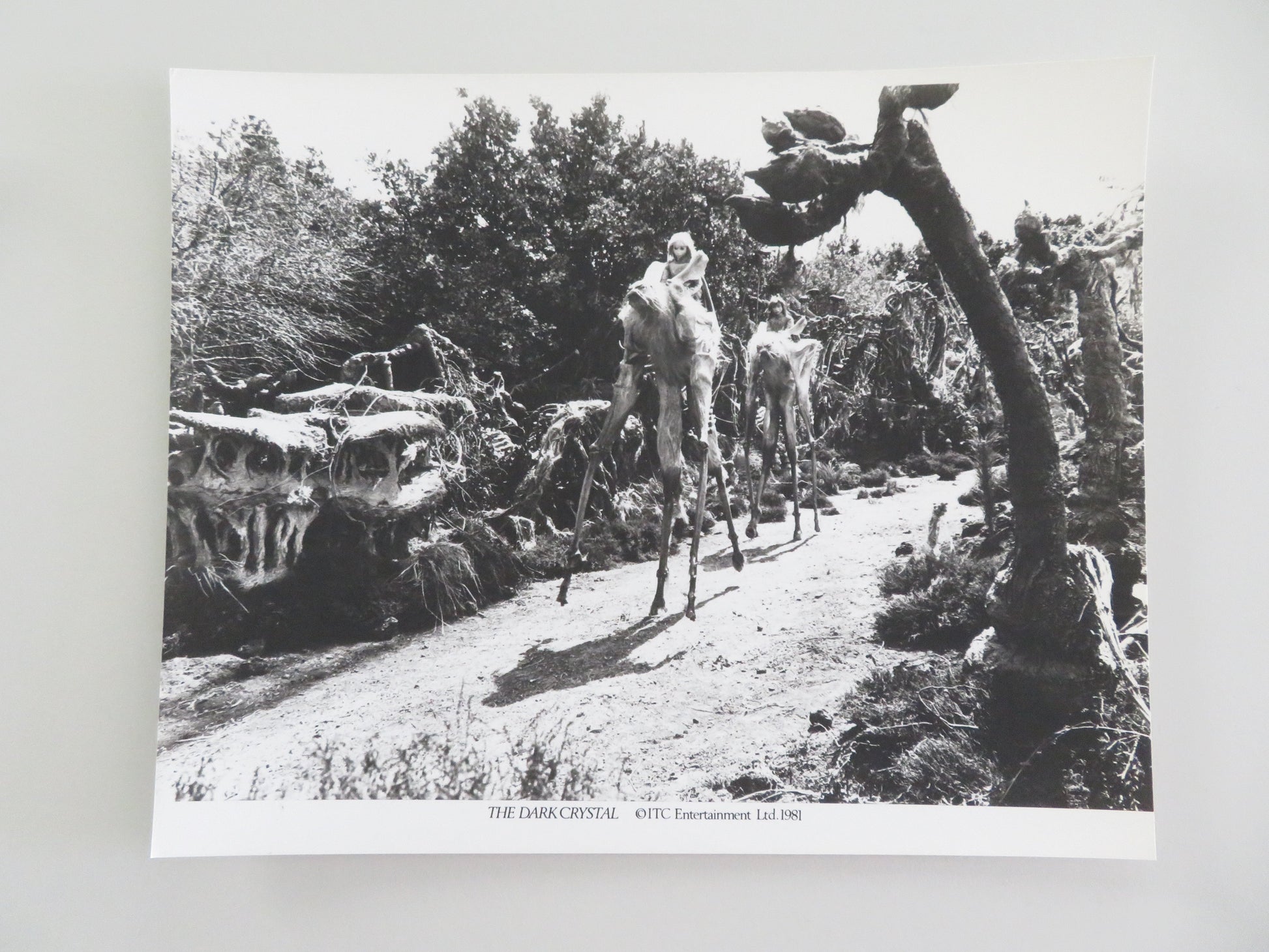 The Dark Crystal - B Movie Still Photo Lot Of 6 Jim Henson Frank Oz 1982 Movie posters