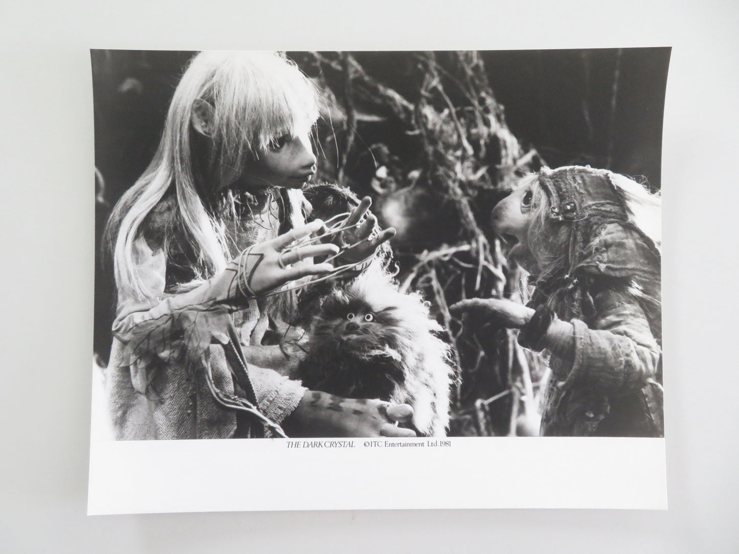 The Dark Crystal - B Movie Still Photo Lot Of 6 Jim Henson Frank Oz 1982 Movie posters
