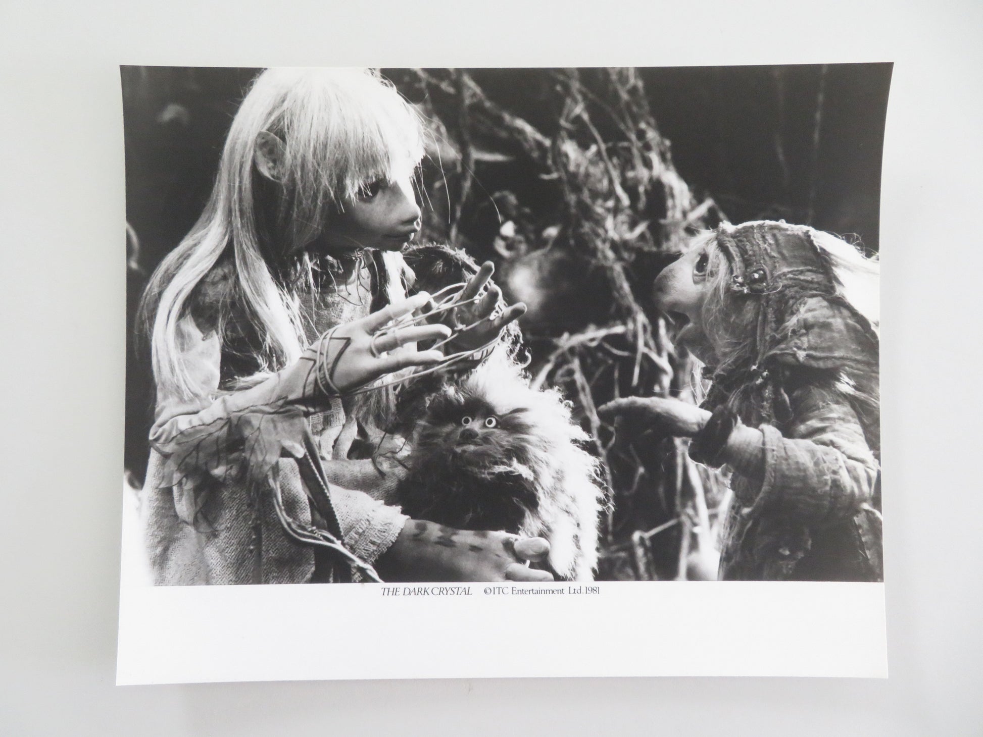 The Dark Crystal - B Movie Still Photo Lot Of 6 Jim Henson Frank Oz 1982 Movie posters