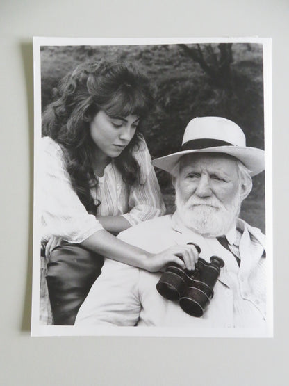 THE DAWNING MOVIE STILL PHOTO LOT OF 3 ANTHONY HOPKINS REBECCA PIDGEON 1988 - Rendezvous Cinema