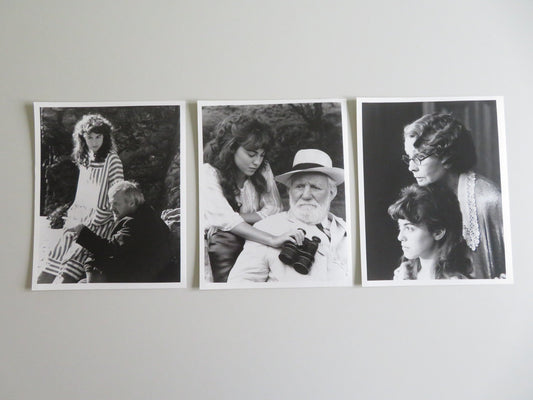 THE DAWNING MOVIE STILL PHOTO LOT OF 3 ANTHONY HOPKINS REBECCA PIDGEON 1988 - Rendezvous Cinema