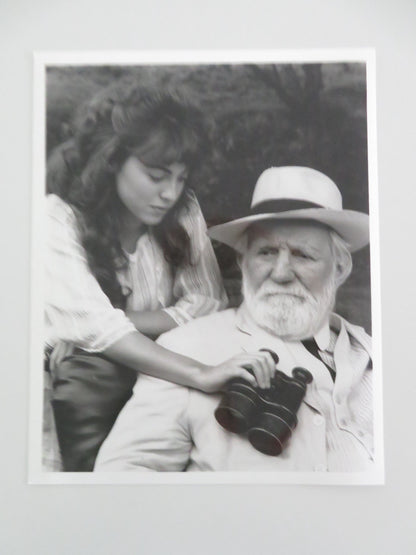 THE DAWNING MOVIE STILL PHOTO TREVOR HOWARD REBECCA PIDGEON 1988 Movie posters