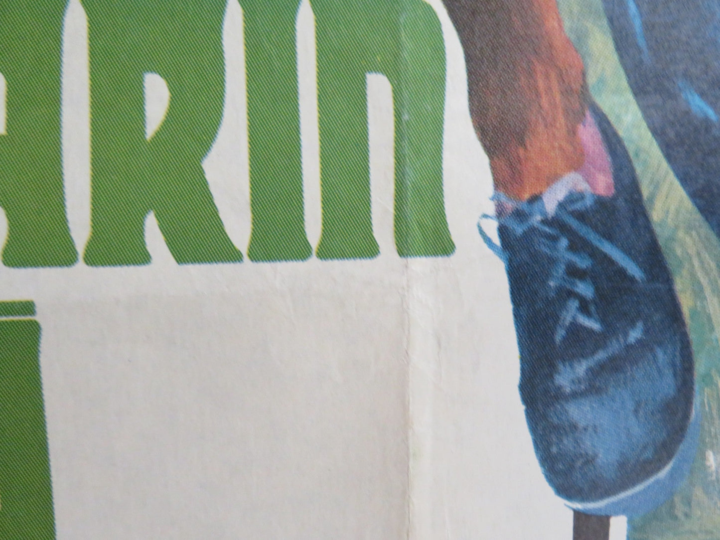 THE DAY OF THE DOLPHIN TURKISH POSTER ROLLED C. SCOTT TRISH VAN DEVERE 1977 Rendezvous Cinema Movie posters