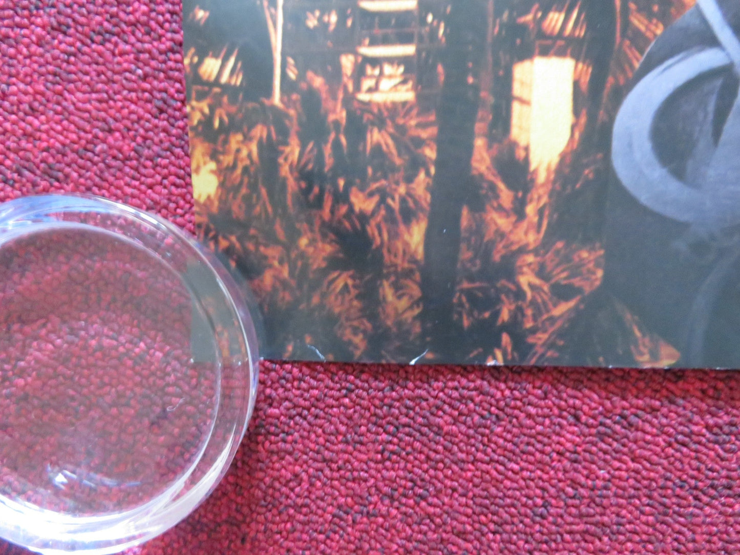 THE DAY SHALL COME UK QUAD ROLLED POSTER ANDREL MCPHERSON MILES ROBINS 2019 Rendezvous Cinema Movie posters