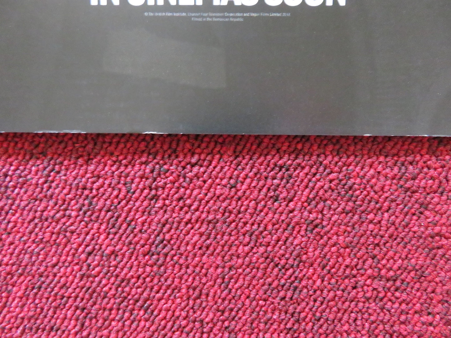 THE DAY SHALL COME UK QUAD ROLLED POSTER ANDREL MCPHERSON MILES ROBINS 2019 Rendezvous Cinema Movie posters