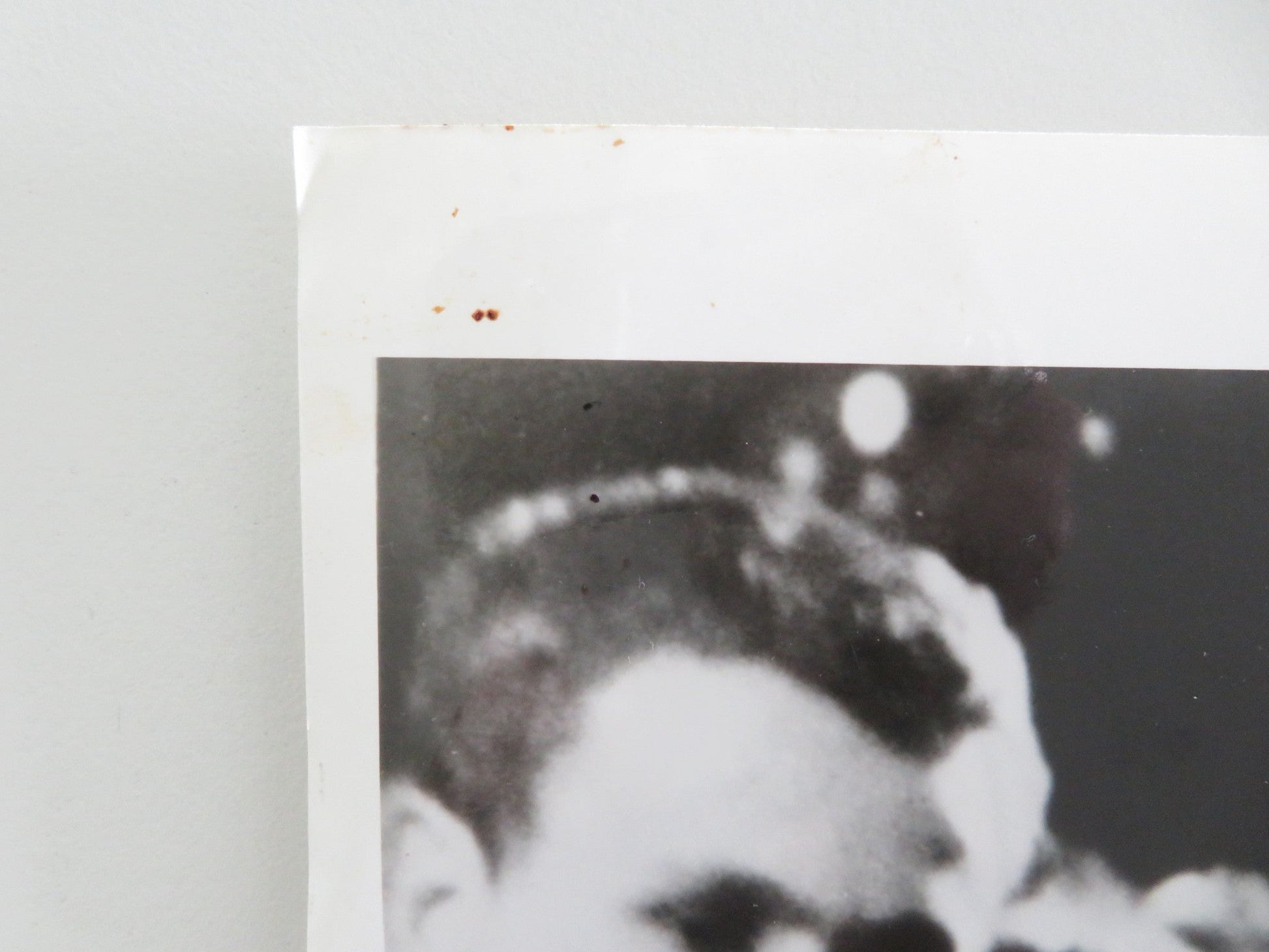 THE DECLINE OF WESTERN CIVILIZATION MOVIE STILL PHOTO ALICE BAG BAND 1981 Movie posters