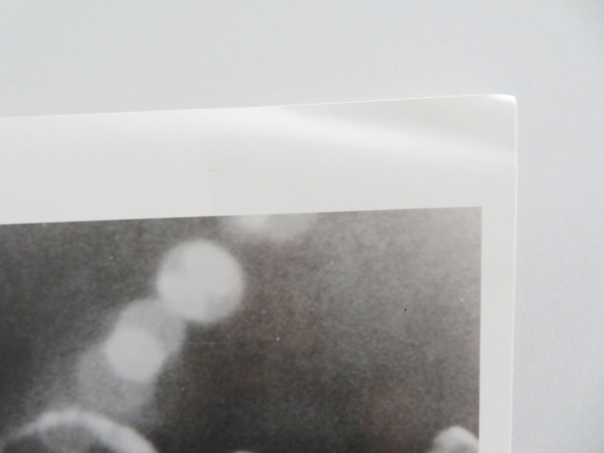 THE DECLINE OF WESTERN CIVILIZATION MOVIE STILL PHOTO ALICE BAG BAND 1981 Movie posters