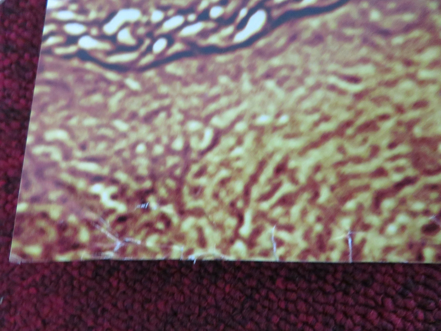 THE DEVIL'S DOUBLE UK QUAD ROLLED POSTER DOMINIC COOPER LUDIVINE SAGNIER 2011 Movie posters