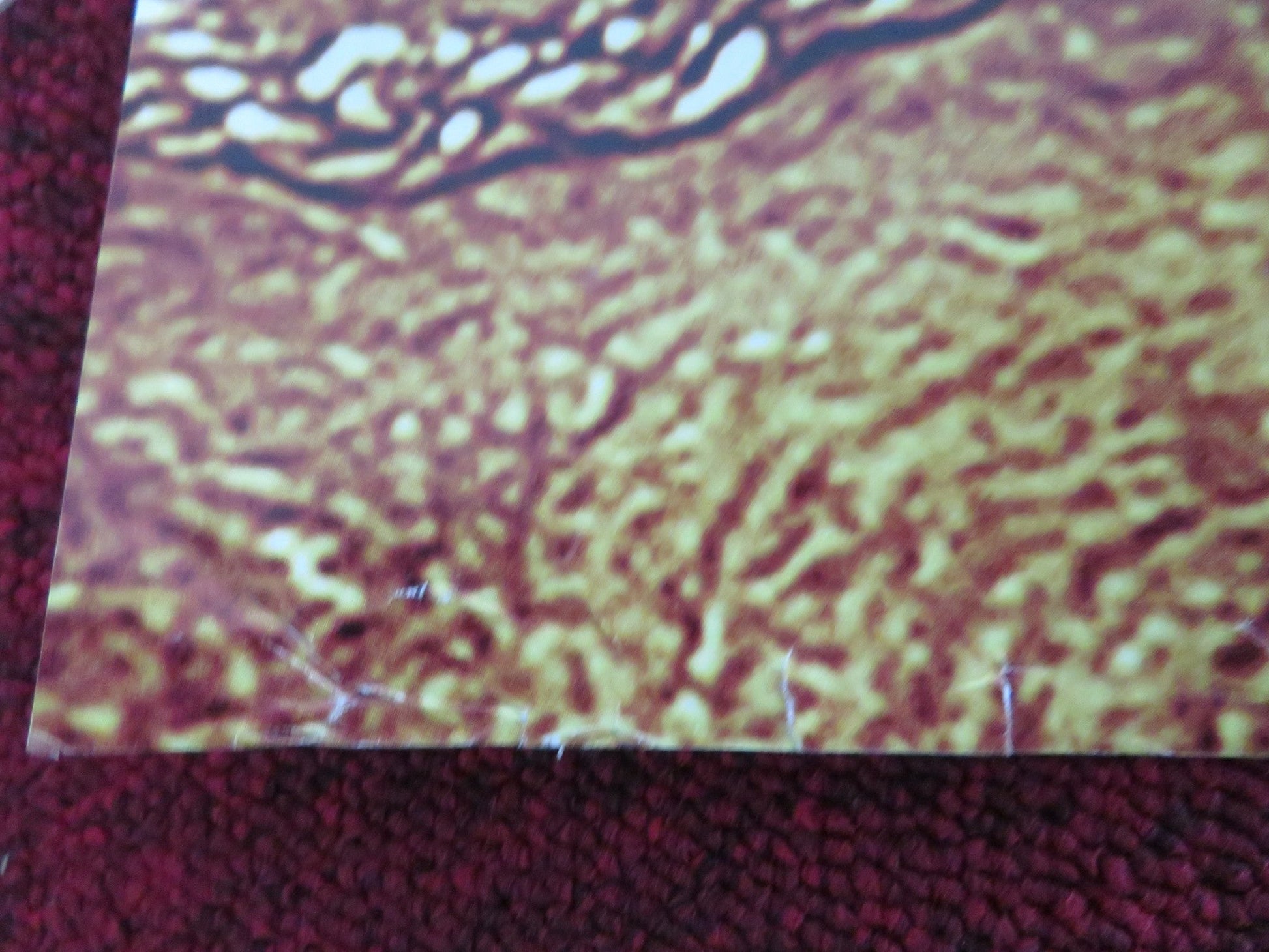 THE DEVIL'S DOUBLE UK QUAD ROLLED POSTER DOMINIC COOPER LUDIVINE SAGNIER 2011 Movie posters