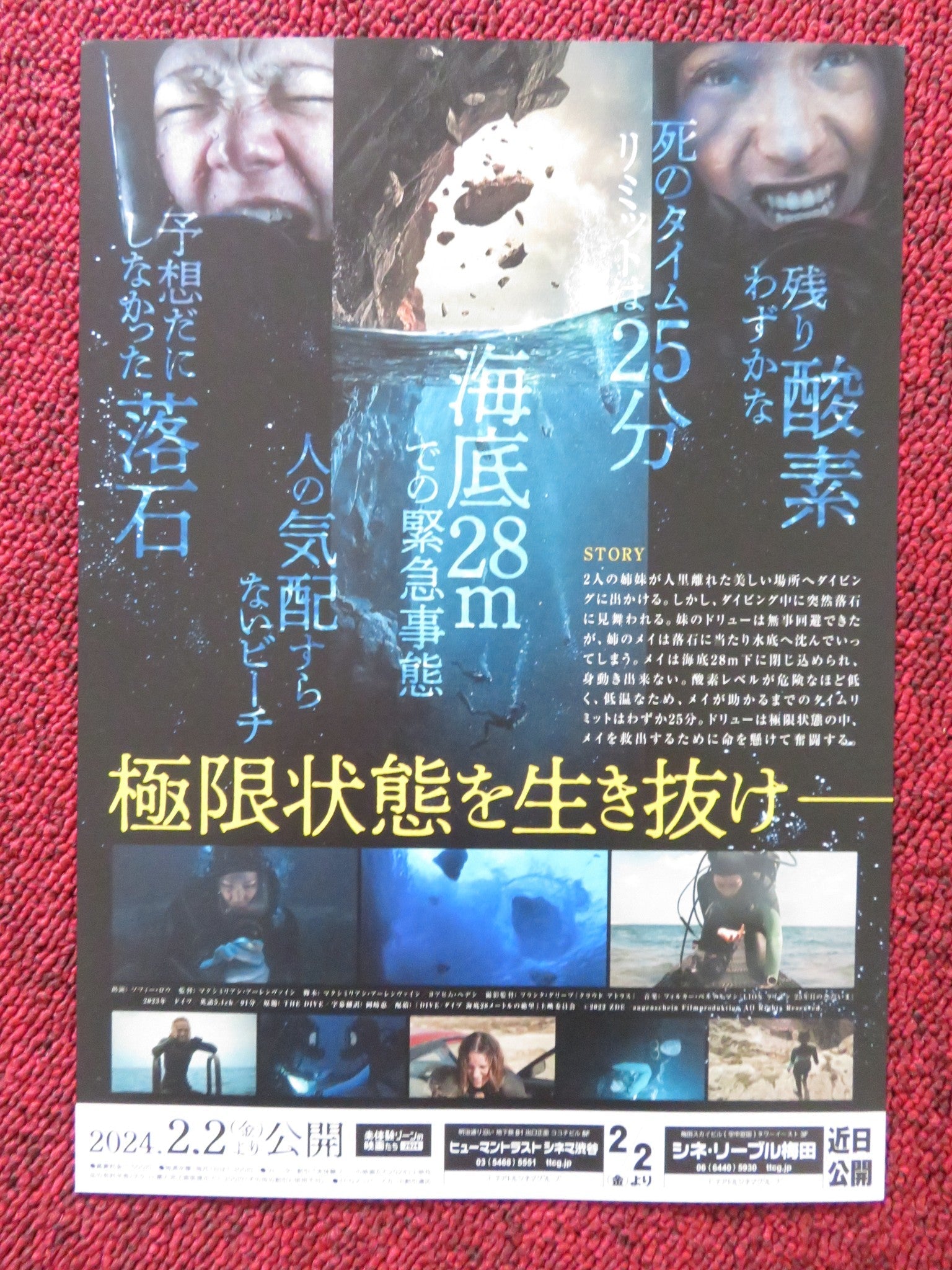 THE DIVE JAPANESE CHIRASHI (B5) POSTER LOUISA KRAUSE SOPHIE LOWE 2023 Rendezvous Cinema Movie posters