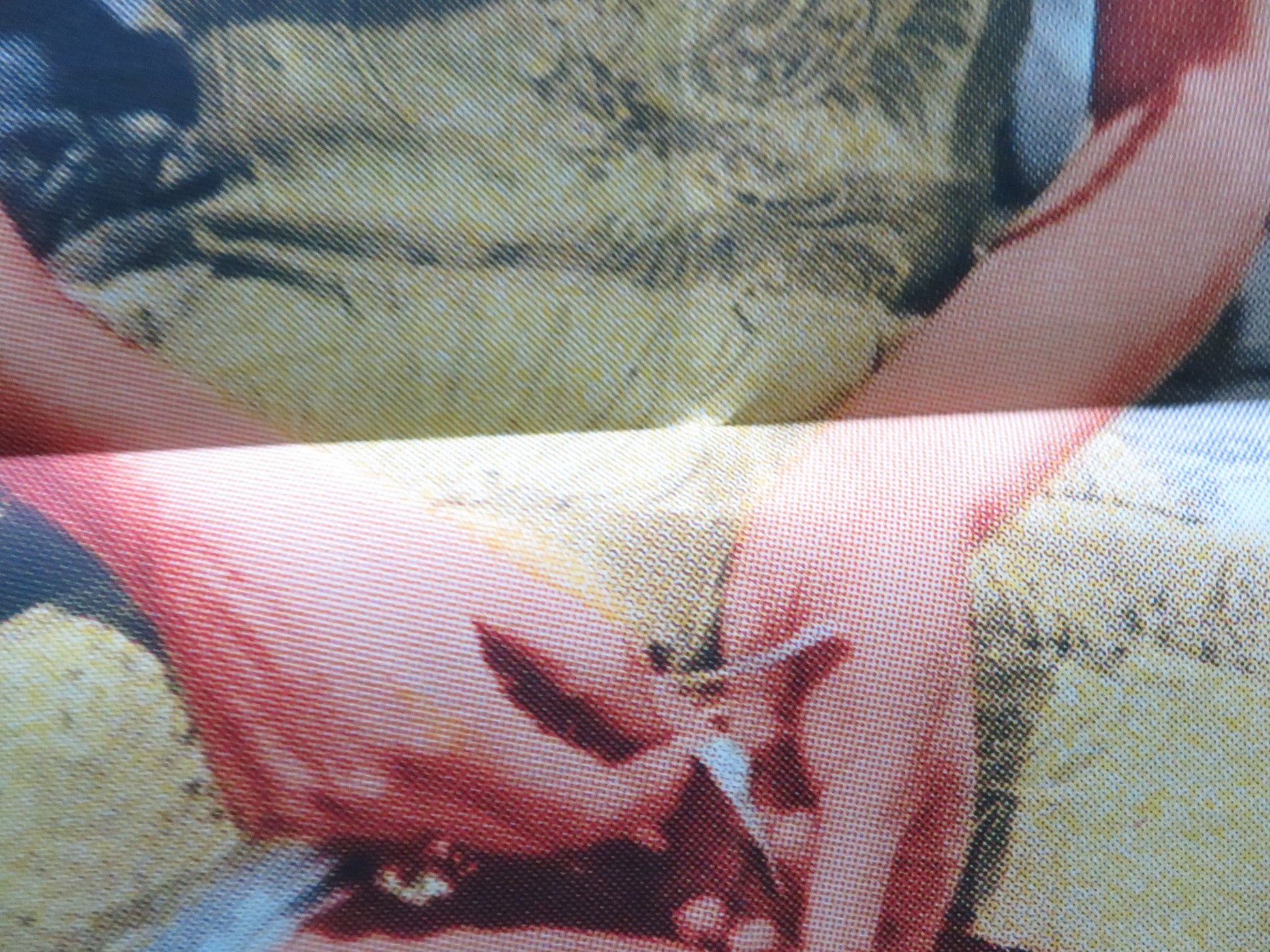 THE DOCTOR AND THE PLAYGIRL FOLDED US ONE SHEET POSTER HUTCHISON 1964 Rendezvous Cinema Movie posters