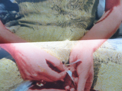 THE DOCTOR AND THE PLAYGIRL FOLDED US ONE SHEET POSTER HUTCHISON 1964 Rendezvous Cinema Movie posters