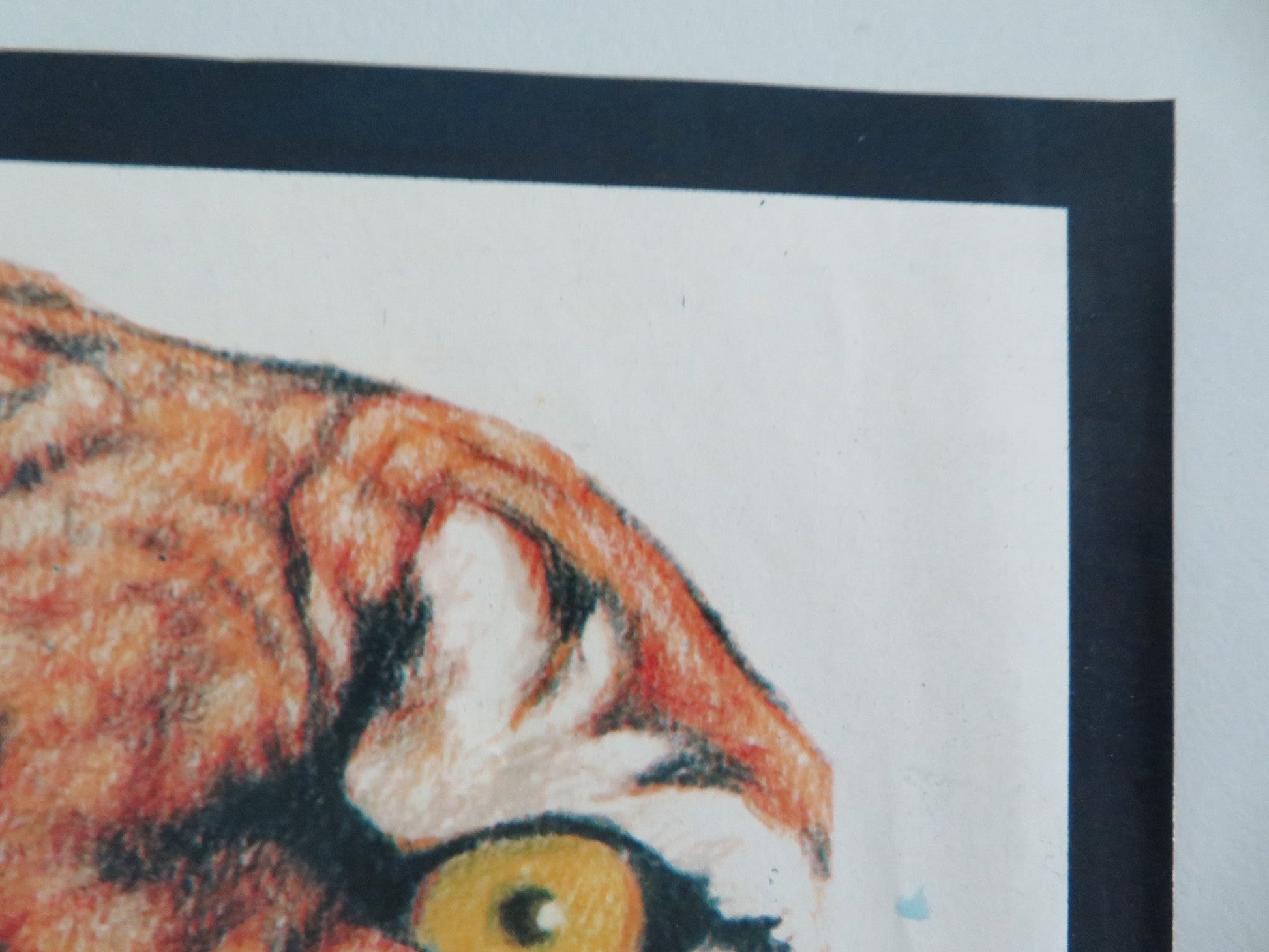 THE DRAGON - A ITALIAN FOTOBUSTA POSTER KEI SATO WILLIAM OLIVER 1979 Movie posters