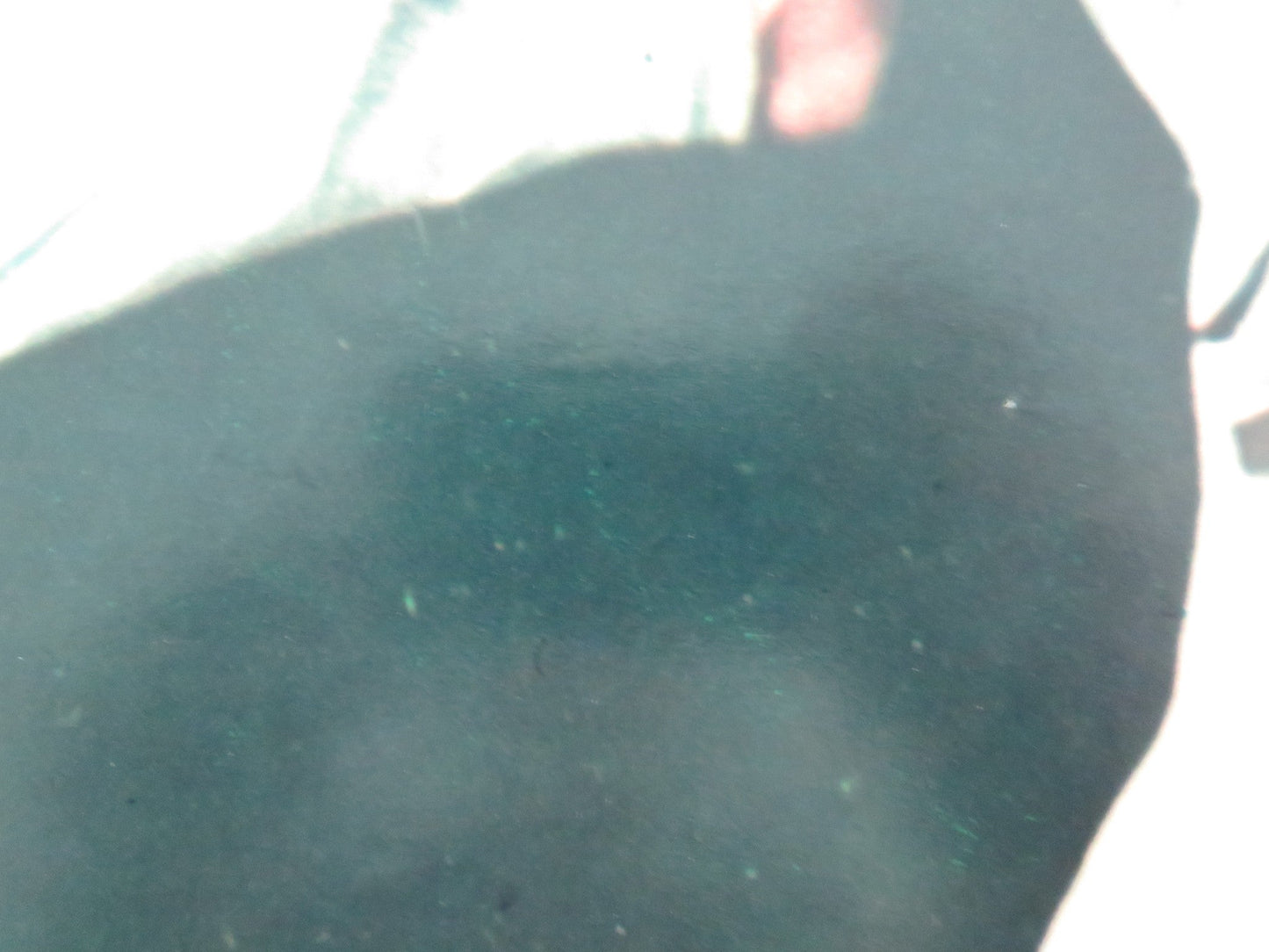 THE DRAGON - D ITALIAN FOTOBUSTA POSTER KEI SATO WILLIAM OLIVER 1979 Movie posters