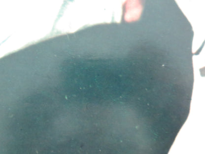 THE DRAGON - D ITALIAN FOTOBUSTA POSTER KEI SATO WILLIAM OLIVER 1979 Movie posters