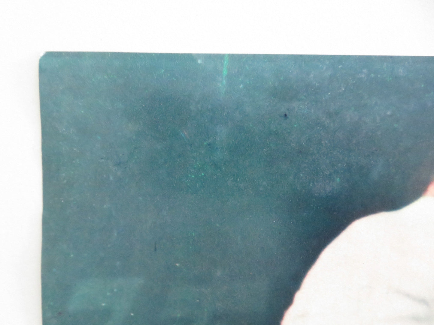 THE DRAGON - D ITALIAN FOTOBUSTA POSTER KEI SATO WILLIAM OLIVER 1979 Movie posters