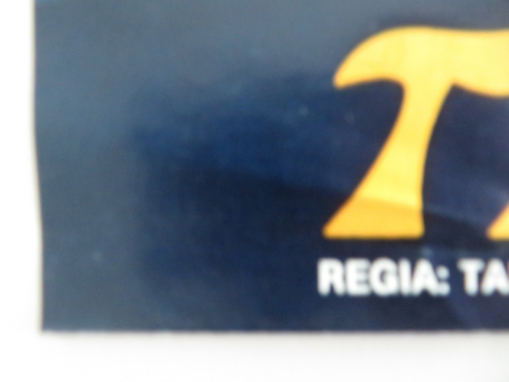 THE DRAGON - F ITALIAN FOTOBUSTA POSTER KEI SATO WILLIAM OLIVER 1979 Movie posters