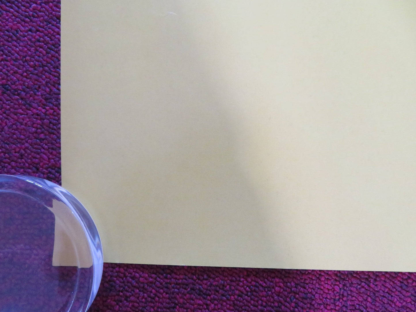 THE DUKE UK QUAD ROLLED POSTER JIM BROADBENT HELEN MIRREN 2020 Rendezvous Cinema Movie posters