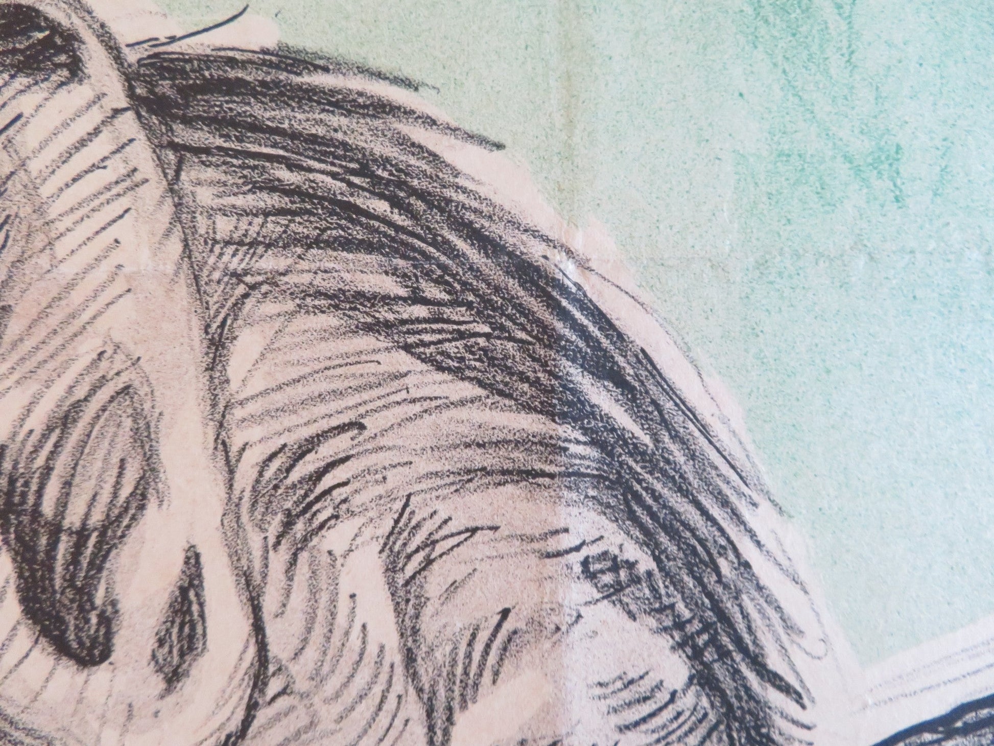 THE ENCHANTED FOREST / NAVAJO KID COMBO DANISH POSTER ROLLED EDMUND LOWE 1949 Rendezvous Cinema Movie posters