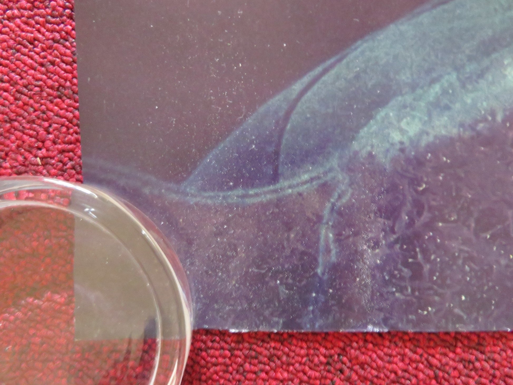 THE END WE START FROM UK QUAD ROLLED POSTER JODIE COMER JOEL FRY 2023 Rendezvous Cinema Movie posters