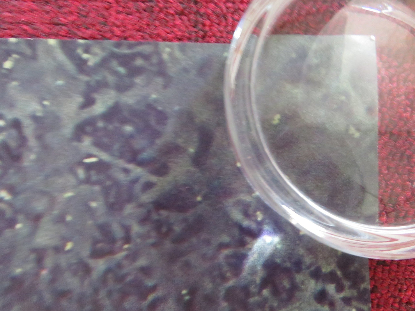 THE END WE START FROM UK QUAD ROLLED POSTER JODIE COMER JOEL FRY 2023 Rendezvous Cinema Movie posters