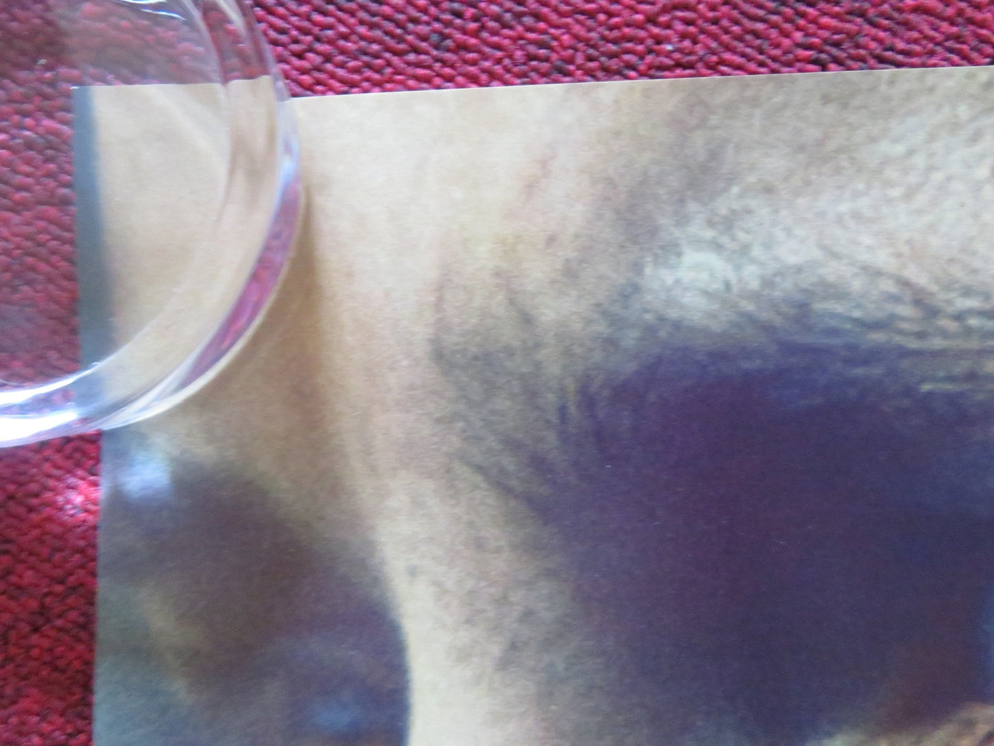 THE END WE START FROM UK QUAD ROLLED POSTER JODIE COMER JOEL FRY 2023 Rendezvous Cinema Movie posters