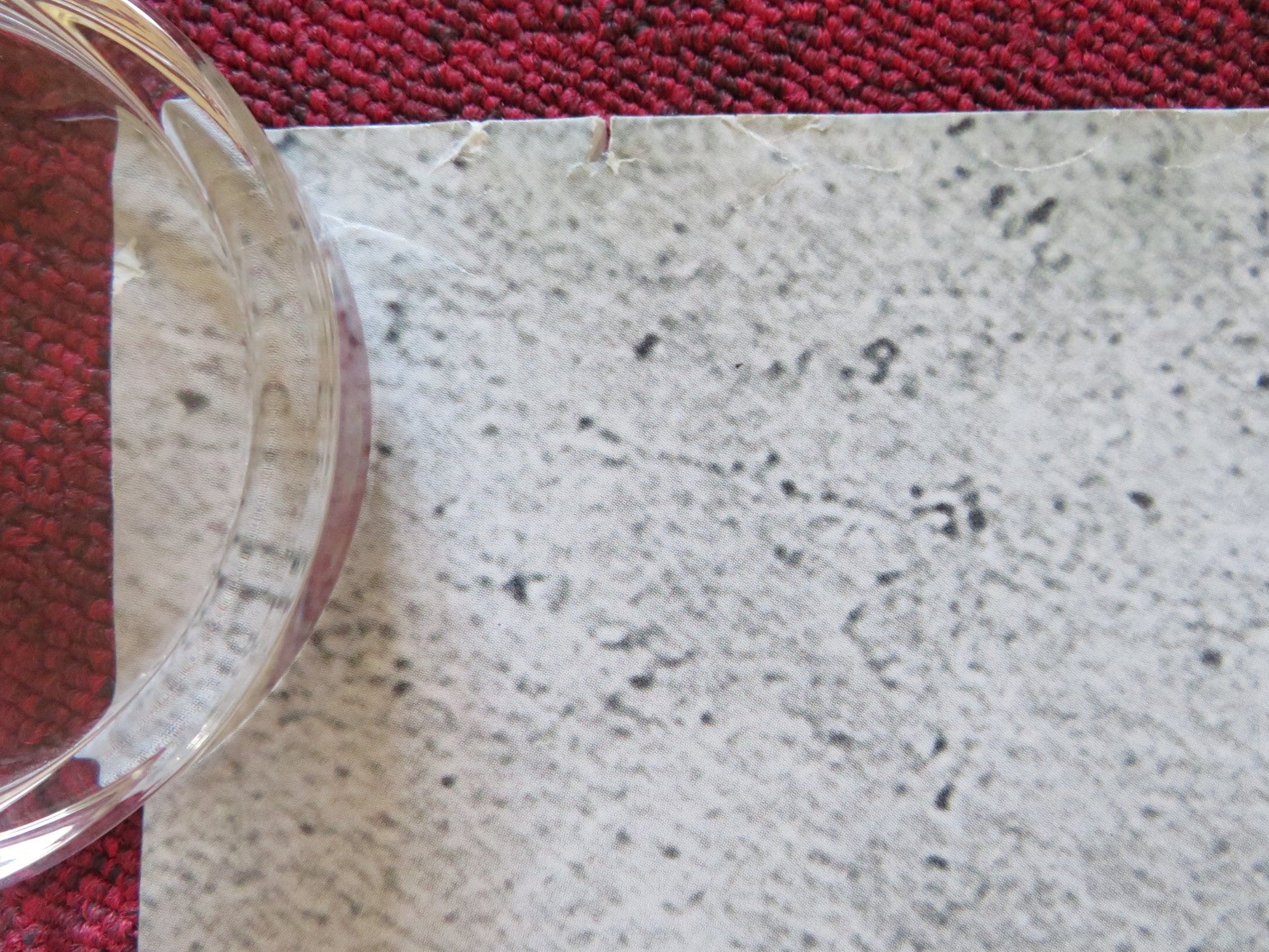 THE EXPENDABLES 3 UK QUAD ROLLED POSTER SYLVESTER STALLONE JASON STATHAM 2014 Rendezvous Cinema Movie posters