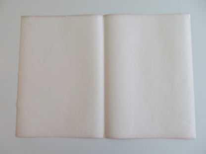 THE FAMILY JEWELS - B ITALIAN FOTOBUSTA POSTER JERRY LEWIS SEBASTIAN CABOT 1965 Rendezvous Cinema Movie posters