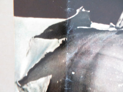 THE FAMILY JEWELS - E ITALIAN FOTOBUSTA POSTER JERRY LEWIS SEBASTIAN CABOT 1965 Rendezvous Cinema Movie posters