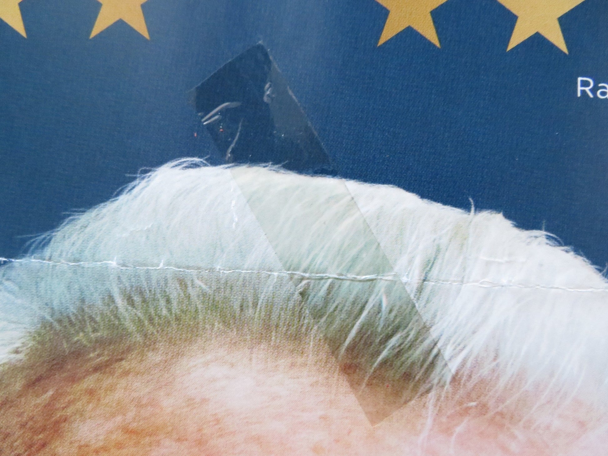 THE FATHER UK QUAD ROLLED POSTER ANTHONY HOPKINS OLIVIA COLMAN 2020 Rendezvous Cinema Movie posters