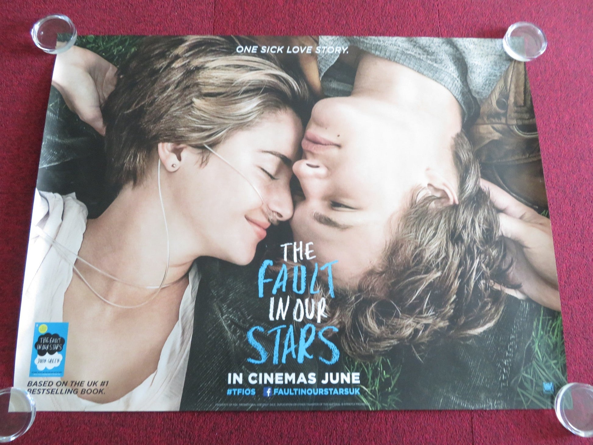 THE FAULT IN OUR STARS UK QUAD ROLLED POSTER SHAILENE WOODLEY ANSEL ELGORT 2014 Rendezvous Cinema Movie posters