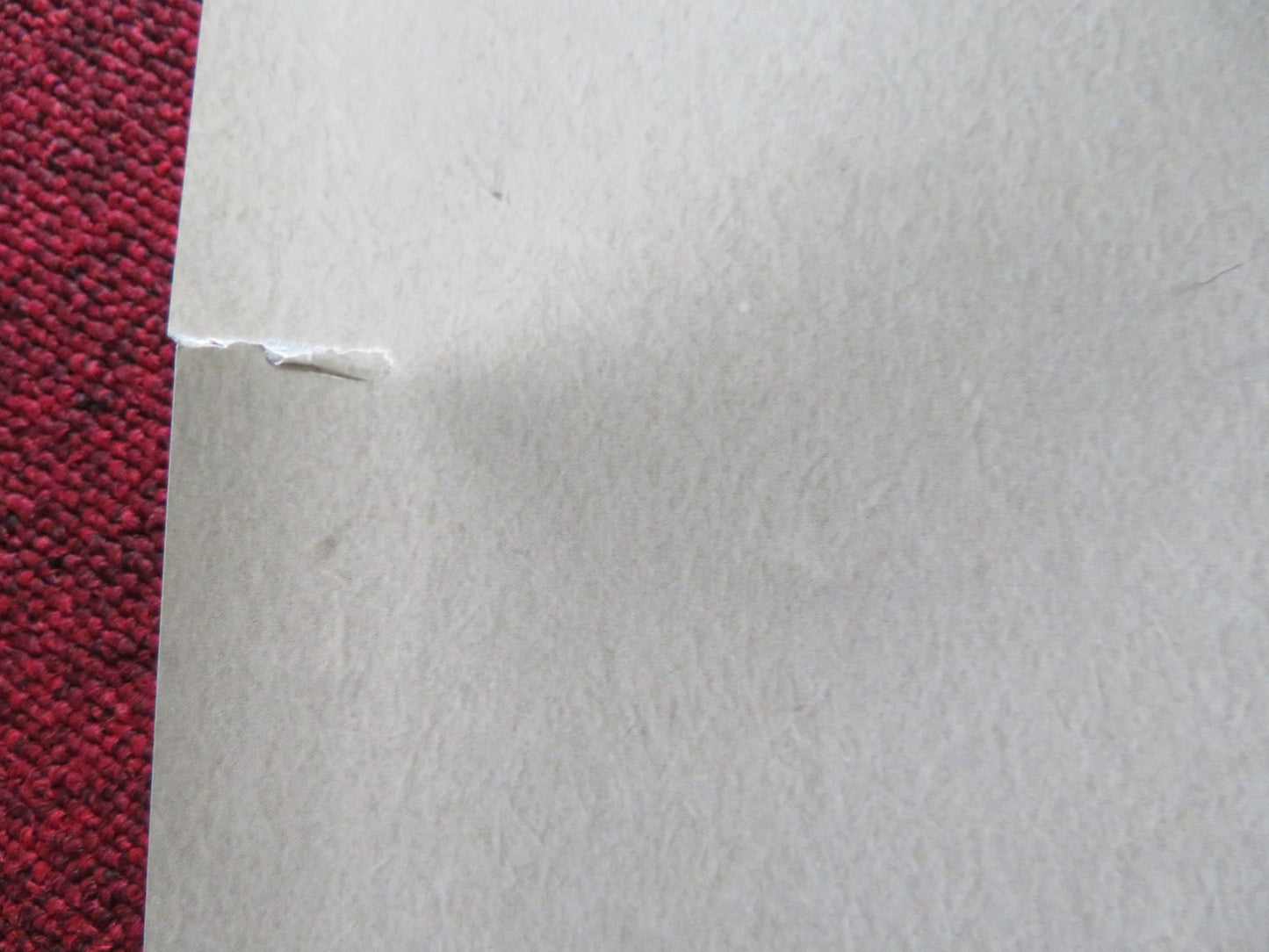 THE FAVOURITE UK QUAD ROLLED POSTER OLIVIA COLMAN EMMA STONE 2018 Rendezvous Cinema Movie posters