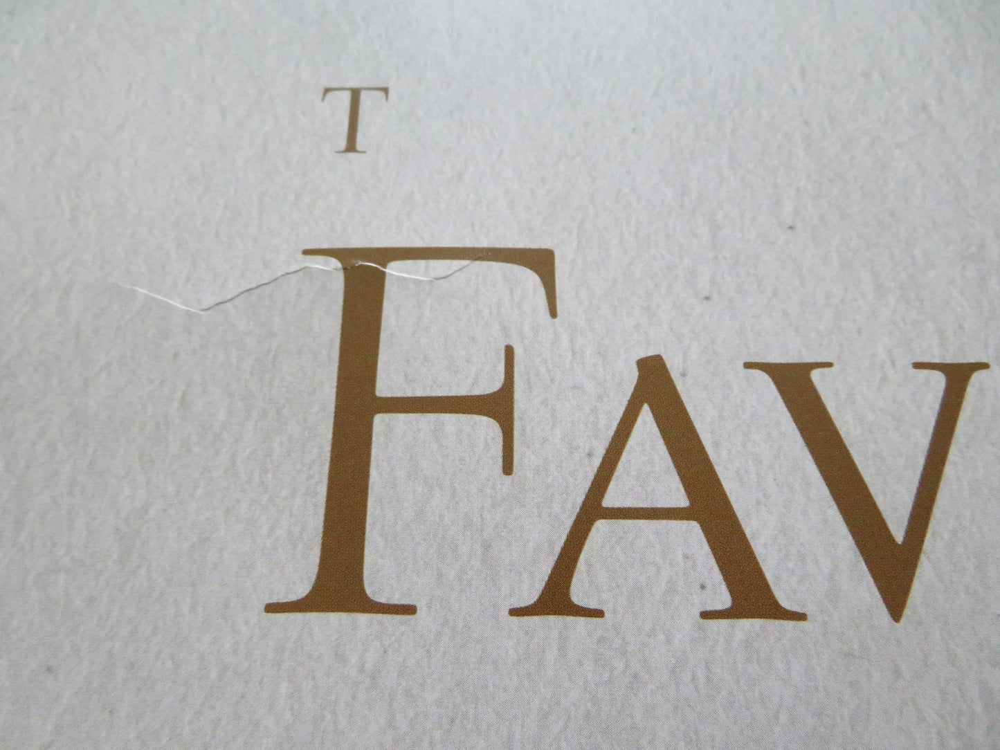 THE FAVOURITE UK QUAD ROLLED POSTER OLIVIA COLMAN EMMA STONE 2018 Rendezvous Cinema Movie posters