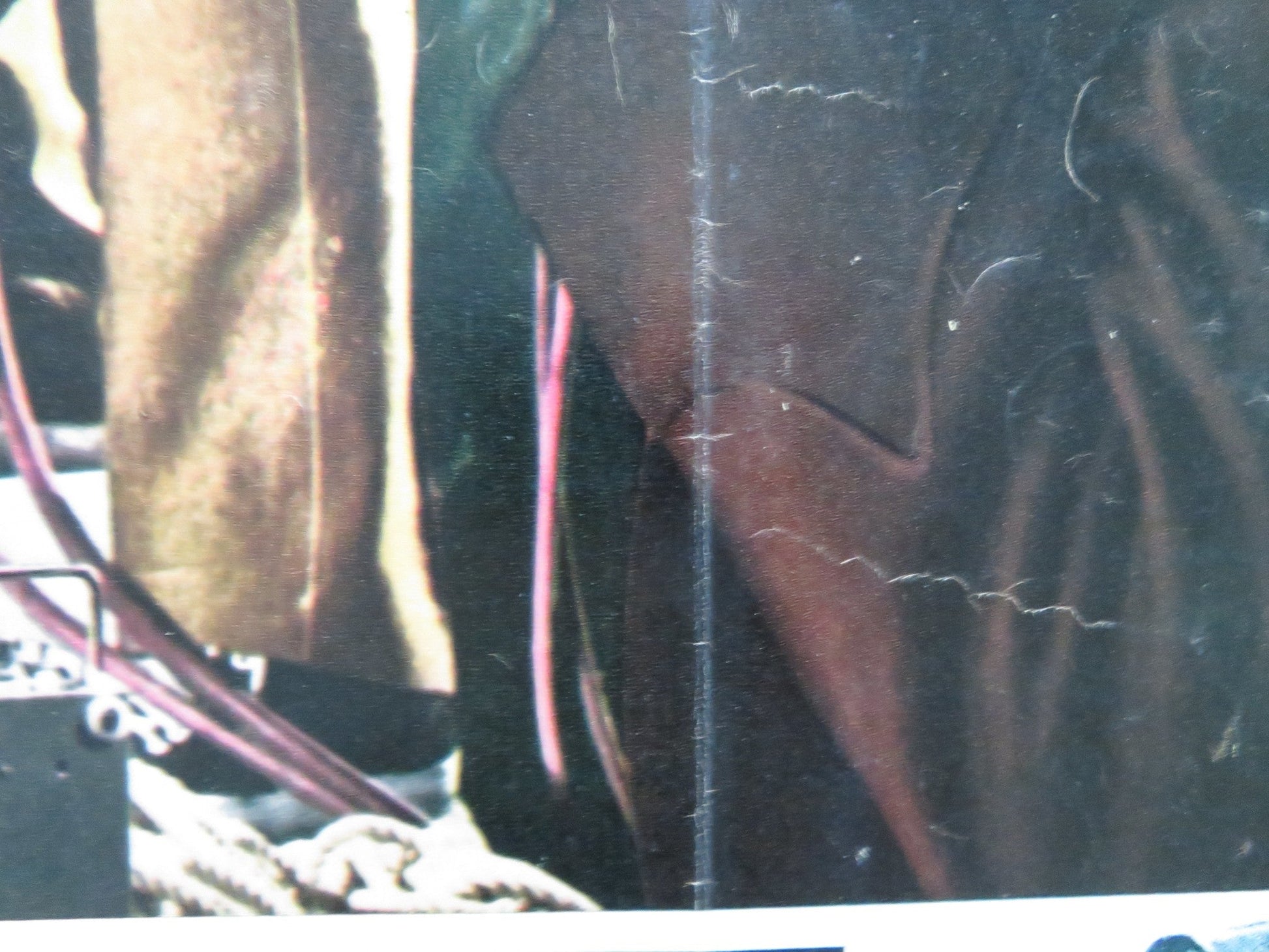 THE FICTION - MAKERS - C ITALIAN FOTOBUSTA POSTER ROGER MOORE SYLVIA SYMS 1973 Rendezvous Cinema Movie posters