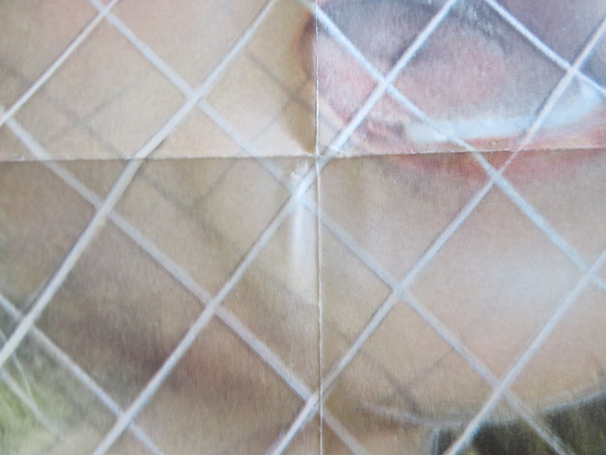 THE FIFTH FLOOR FOLDED US ONE SHEET POSTER BO HOPKINS DIANNE HULL 1979 Rendezvous Cinema Movie posters