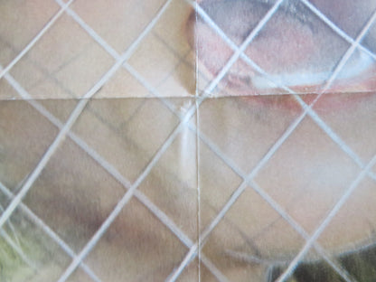 THE FIFTH FLOOR FOLDED US ONE SHEET POSTER BO HOPKINS DIANNE HULL 1979 Rendezvous Cinema Movie posters