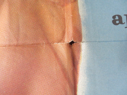 THE FIRST TIME FOLDED US ONE SHEET POSTER ROBERT CUMMINGS BARBARA HALE 1952 Rendezvous Cinema Movie posters