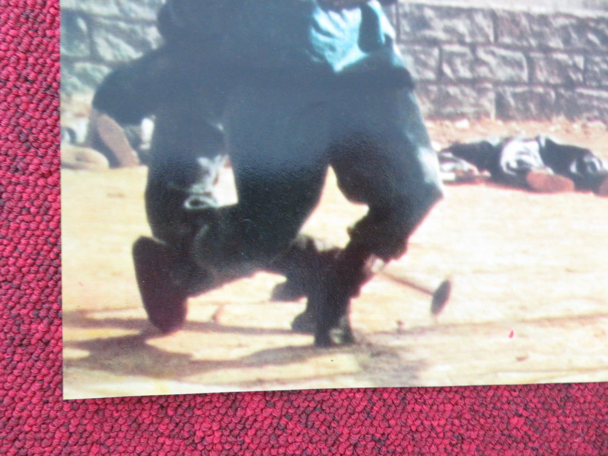 THE FIST THAT KILLS ITALIAN FOTOBUSTA POSTER CHIANG CHING CHING CHIANG LING 1973 Movie posters