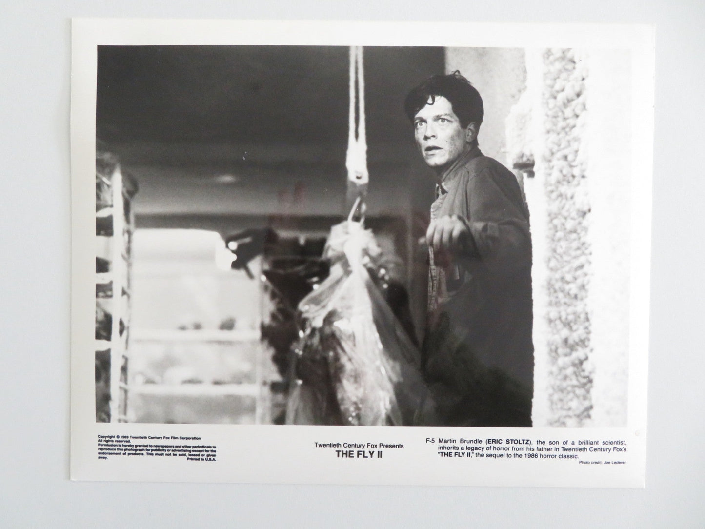 THE FLY II MOVIE STILL PHOTO LOT OF 5 ERIC STOLTZ DAPHNE ZUNIGA 1989 Movie posters