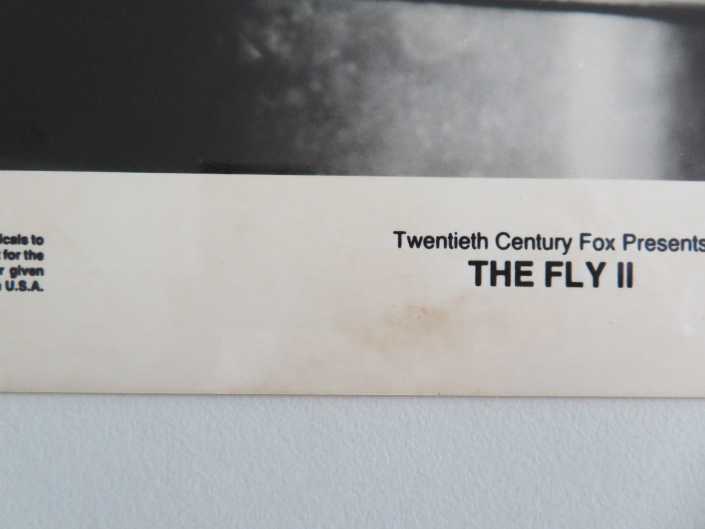 THE FLY II MOVIE STILL PHOTO LOT OF 5 ERIC STOLTZ DAPHNE ZUNIGA 1989 Movie posters