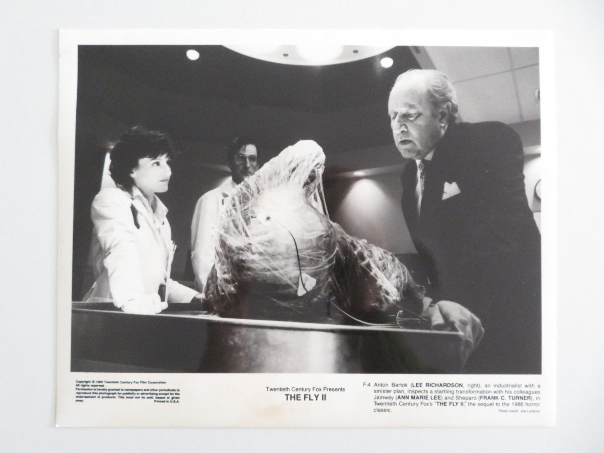 THE FLY II MOVIE STILL PHOTO LOT OF 5 ERIC STOLTZ DAPHNE ZUNIGA 1989 Movie posters