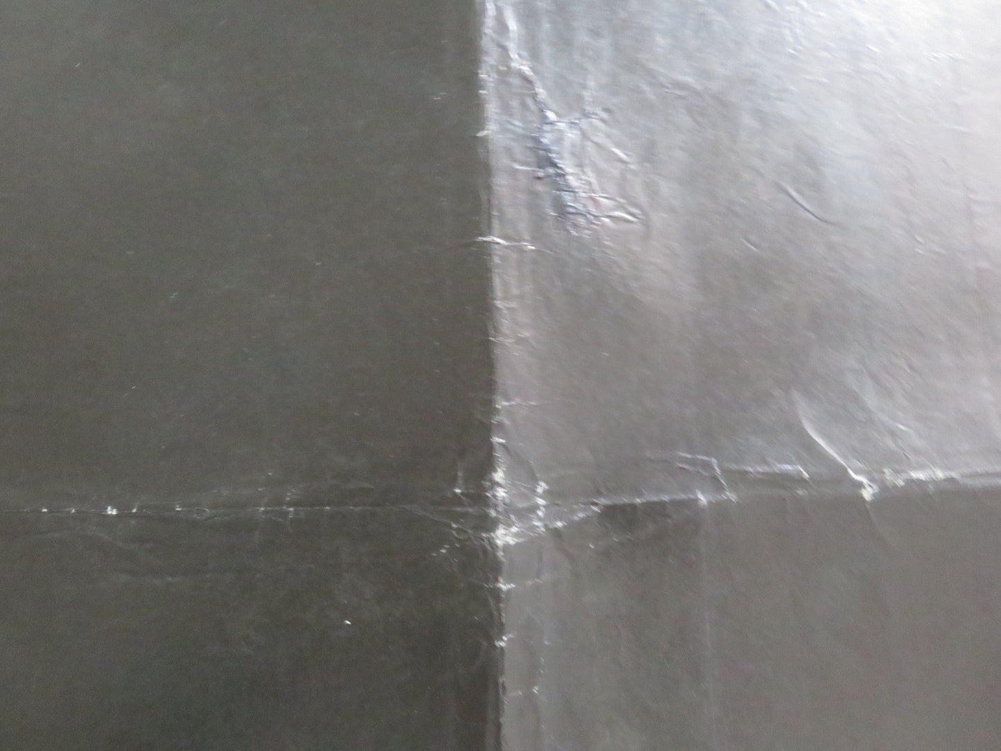 THE FLY II UK QUAD ROLLED POSTER ERIC STOLTZ DAPHNE ZUNIGA 1989 Rendezvous Cinema Movie posters