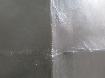 THE FLY II UK QUAD ROLLED POSTER ERIC STOLTZ DAPHNE ZUNIGA 1989 Rendezvous Cinema Movie posters