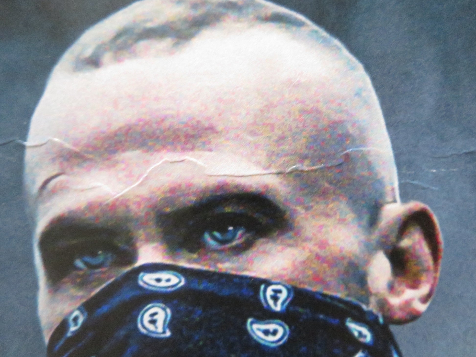 THE G UK QUAD ROLLED POSTER DALE DICKEY ROMANE DENIS 2023 Rendezvous Cinema Movie posters