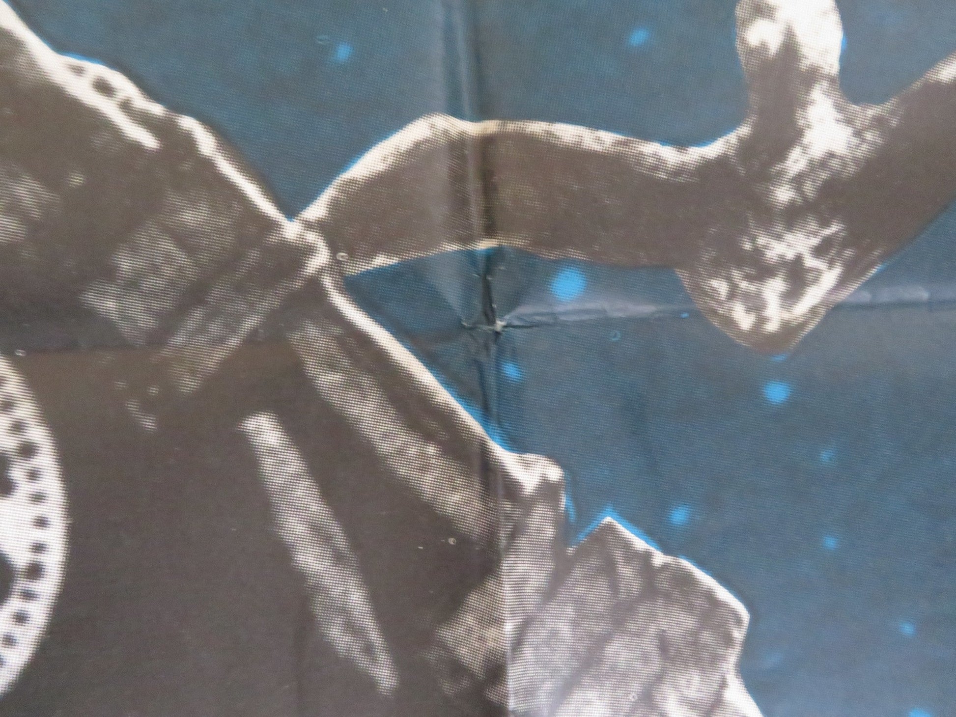 THE GIANT CLAW ITALIAN 2 FOGLIO POSTER JEFF MORROW MARA CORDAY 1957 Rendezvous Cinema Movie posters